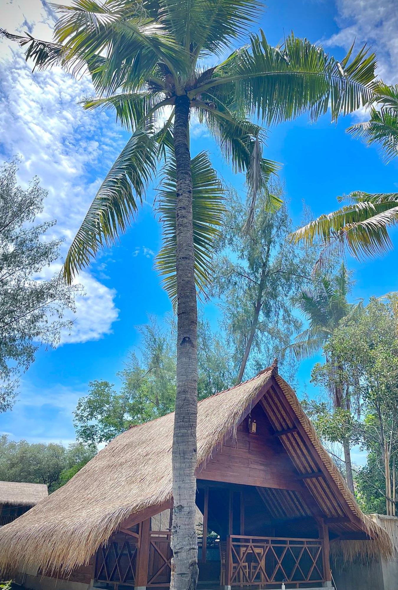 Saja Cottage, Gili Meno Eksteriør billede